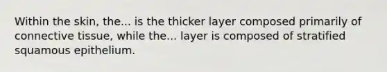 Within the skin, the... is the thicker layer composed primarily of connective tissue, while the... layer is composed of stratified squamous epithelium.