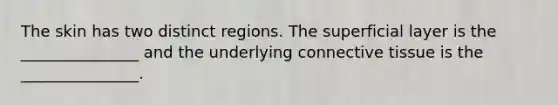 The skin has two distinct regions. The superficial layer is the _______________ and the underlying connective tissue is the _______________.