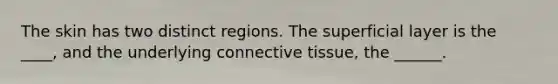 The skin has two distinct regions. The superficial layer is the ____, and the underlying connective tissue, the ______.