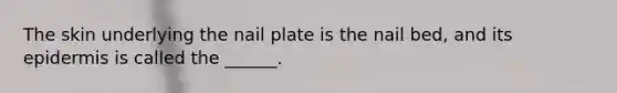 The skin underlying the nail plate is the nail bed, and its epidermis is called the ______.