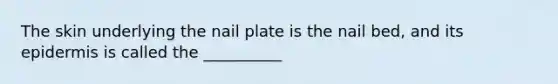 The skin underlying the nail plate is the nail bed, and its epidermis is called the __________