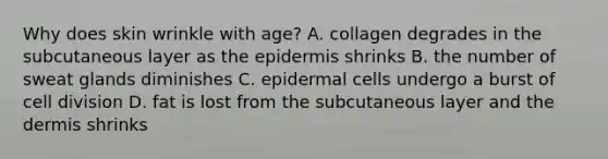 Why does skin wrinkle with age? A. collagen degrades in the subcutaneous layer as the epidermis shrinks B. the number of sweat glands diminishes C. epidermal cells undergo a burst of cell division D. fat is lost from the subcutaneous layer and the dermis shrinks