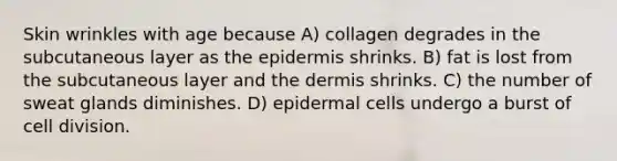 Skin wrinkles with age because A) collagen degrades in the subcutaneous layer as the epidermis shrinks. B) fat is lost from the subcutaneous layer and the dermis shrinks. C) the number of sweat glands diminishes. D) epidermal cells undergo a burst of cell division.