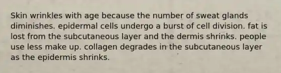 Skin wrinkles with age because the number of sweat glands diminishes. epidermal cells undergo a burst of <a href='https://www.questionai.com/knowledge/kjHVAH8Me4-cell-division' class='anchor-knowledge'>cell division</a>. fat is lost from the subcutaneous layer and <a href='https://www.questionai.com/knowledge/kEsXbG6AwS-the-dermis' class='anchor-knowledge'>the dermis</a> shrinks. people use less make up. collagen degrades in the subcutaneous layer as <a href='https://www.questionai.com/knowledge/kBFgQMpq6s-the-epidermis' class='anchor-knowledge'>the epidermis</a> shrinks.