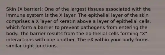 Skin (X barrier): One of the largest tissues associated with the immune system is the X layer. The epithelial layer of the skin comprises a X layer of keratin above a layer of epithelial cells, which form a barrier to prevent pathogens from entering the body. The barrier results from the epithelial cells forming "X" interactions with one another. The eX within your body forms similar tight junctions.