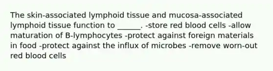 The skin-associated lymphoid tissue and mucosa-associated lymphoid tissue function to ______. -store red blood cells -allow maturation of B-lymphocytes -protect against foreign materials in food -protect against the influx of microbes -remove worn-out red blood cells