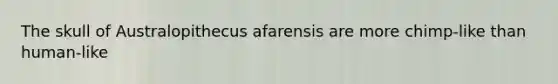 The skull of Australopithecus afarensis are more chimp-like than human-like
