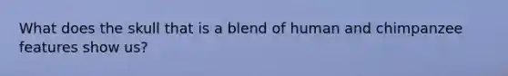What does the skull that is a blend of human and chimpanzee features show us?