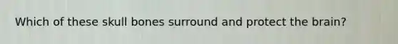 Which of these skull bones surround and protect the brain?