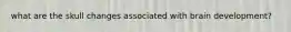 what are the skull changes associated with brain development?
