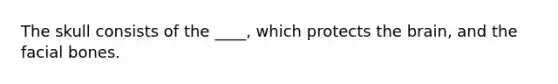 The skull consists of the ____, which protects the brain, and the facial bones.