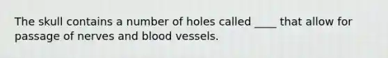 The skull contains a number of holes called ____ that allow for passage of nerves and blood vessels.