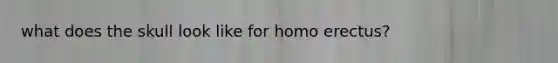 what does the skull look like for homo erectus?