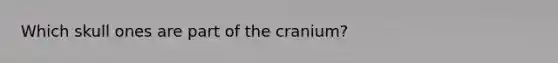 Which skull ones are part of the cranium?