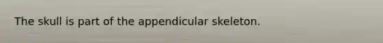 The skull is part of the appendicular skeleton.