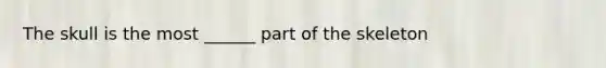 The skull is the most ______ part of the skeleton