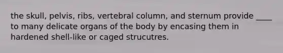 the skull, pelvis, ribs, vertebral column, and sternum provide ____ to many delicate organs of the body by encasing them in hardened shell-like or caged strucutres.