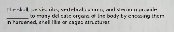 The skull, pelvis, ribs, vertebral column, and sternum provide _________ to many delicate organs of the body by encasing them in hardened, shell-like or caged structures