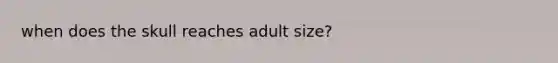 when does the skull reaches adult size?