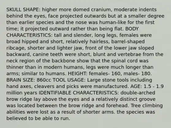 SKULL SHAPE: higher more domed cranium, moderate indents behind the eyes, face projected outwards but at a smaller degree than earlier species and the nose was human-like for the first time; it projected outward rather than being flat. BODY CHARACTERISTICS: tall and slender, long legs, females were broad hipped and short, relatively hairless, barrel-shaped ribcage, shorter and lighter jaw, front of the lower jaw sloped backward, canine teeth were short, blunt and vertebrae from the neck region of the backbone show that the spinal cord was thinner than in modern humans, legs were much longer than arms; similar to humans. HEIGHT: females- 160, males- 180. BRAIN SIZE: 860cc TOOL USAGE: Large stone tools including hand axes, cleavers and picks were manufactured. AGE: 1.5 - 1.9 million years IDENTIFIABLE CHARACTERISTICS: double-arched brow ridge lay above the eyes and a relatively distinct groove was located between the brow ridge and forehead. Tree climbing abilities were lost as a result of shorter arms. the species was believed to be able to run.