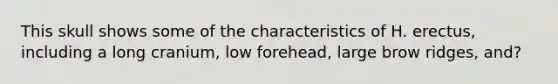 This skull shows some of the characteristics of H. erectus, including a long cranium, low forehead, large brow ridges, and?