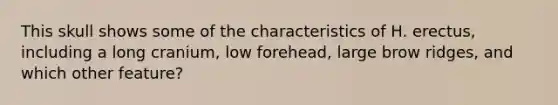 This skull shows some of the characteristics of H. erectus, including a long cranium, low forehead, large brow ridges, and which other feature?