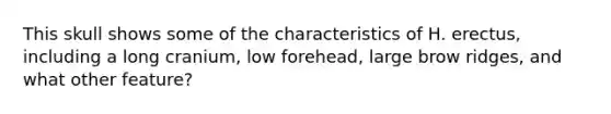 This skull shows some of the characteristics of H. erectus, including a long cranium, low forehead, large brow ridges, and what other feature?