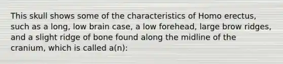 This skull shows some of the characteristics of Homo erectus, such as a long, low brain case, a low forehead, large brow ridges, and a slight ridge of bone found along the midline of the cranium, which is called a(n):