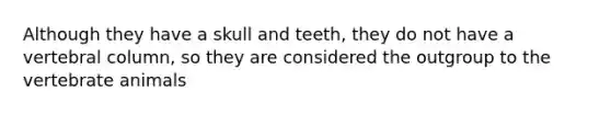 Although they have a skull and teeth, they do not have a vertebral column, so they are considered the outgroup to the vertebrate animals
