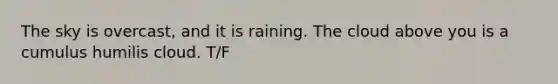 The sky is overcast, and it is raining. The cloud above you is a cumulus humilis cloud. T/F
