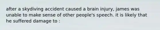 after a skydiving accident caused a brain injury, james was unable to make sense of other people's speech. it is likely that he suffered damage to :