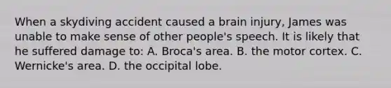 When a skydiving accident caused a brain injury, James was unable to make sense of other people's speech. It is likely that he suffered damage to: A. Broca's area. B. the motor cortex. C. Wernicke's area. D. the occipital lobe.