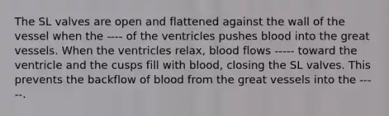 The SL valves are open and flattened against the wall of the vessel when the ---- of the ventricles pushes blood into the great vessels. When the ventricles relax, blood flows ----- toward the ventricle and the cusps fill with blood, closing the SL valves. This prevents the backflow of blood from the great vessels into the -----.