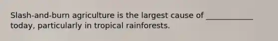 Slash-and-burn agriculture is the largest cause of ____________ today, particularly in tropical rainforests.