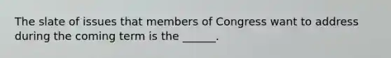 The slate of issues that members of Congress want to address during the coming term is the ______.