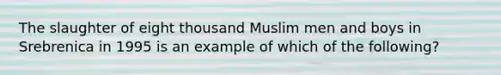 The slaughter of eight thousand Muslim men and boys in Srebrenica in 1995 is an example of which of the following?