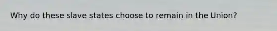 Why do these slave states choose to remain in the Union?