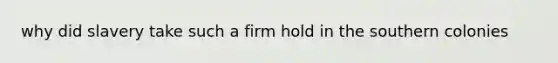 why did slavery take such a firm hold in the southern colonies