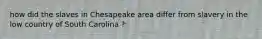 how did the slaves in Chesapeake area differ from slavery in the low country of South Carolina ?