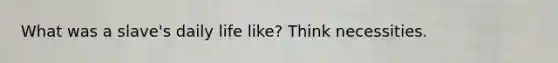 What was a slave's daily life like? Think necessities.