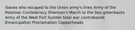 Slaves who escaped to the Union army's lines Army of the Potomac Confederacy Sherman's March to the Sea greenbacks Army of the West Fort Sumter total war contrabands Emancipation Proclamation Copperheads