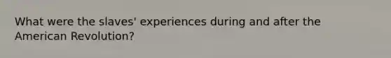 What were the slaves' experiences during and after the American Revolution?