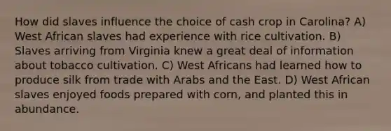 How did slaves influence the choice of cash crop in Carolina? A) West African slaves had experience with rice cultivation. B) Slaves arriving from Virginia knew a great deal of information about tobacco cultivation. C) West Africans had learned how to produce silk from trade with Arabs and the East. D) West African slaves enjoyed foods prepared with corn, and planted this in abundance.