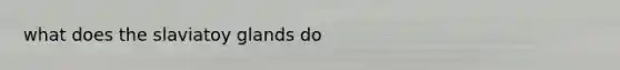 what does the slaviatoy glands do