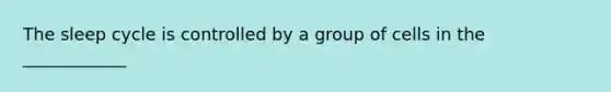 The sleep cycle is controlled by a group of cells in the ____________