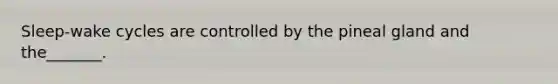 Sleep-wake cycles are controlled by the pineal gland and the_______.