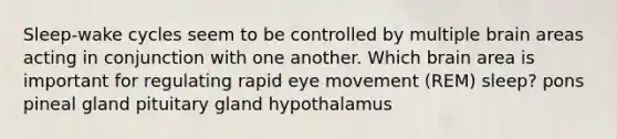 Sleep-wake cycles seem to be controlled by multiple brain areas acting in conjunction with one another. Which brain area is important for regulating rapid eye movement (REM) sleep? pons pineal gland pituitary gland hypothalamus