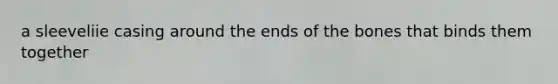 a sleeveliie casing around the ends of the bones that binds them together