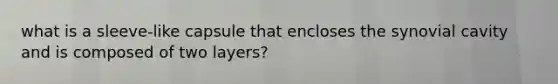 what is a sleeve-like capsule that encloses the synovial cavity and is composed of two layers?