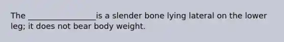 The _________________is a slender bone lying lateral on the lower leg; it does not bear body weight.